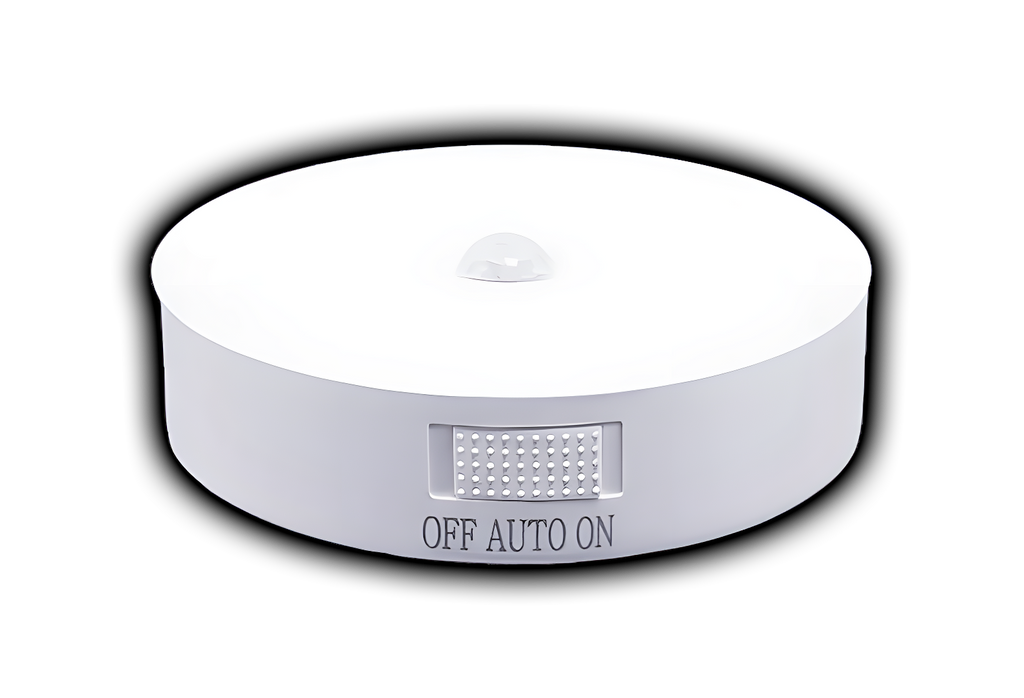 Motion Sensor Light